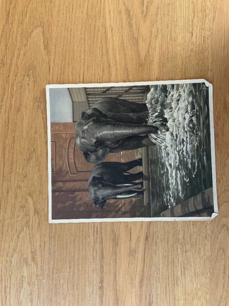 Plaatjes verzamelalbum Verkade, Boeken, Prentenboeken en Plaatjesalbums, Ophalen of Verzenden, Gelezen