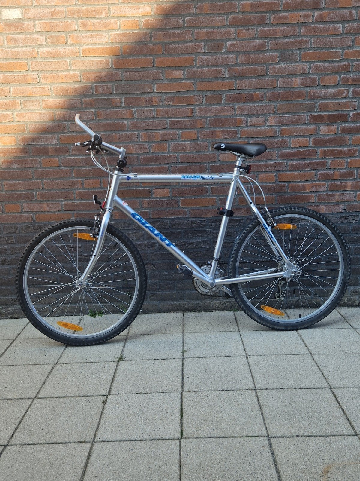 Giant Mountainbike, Ophalen of Verzenden, Giant