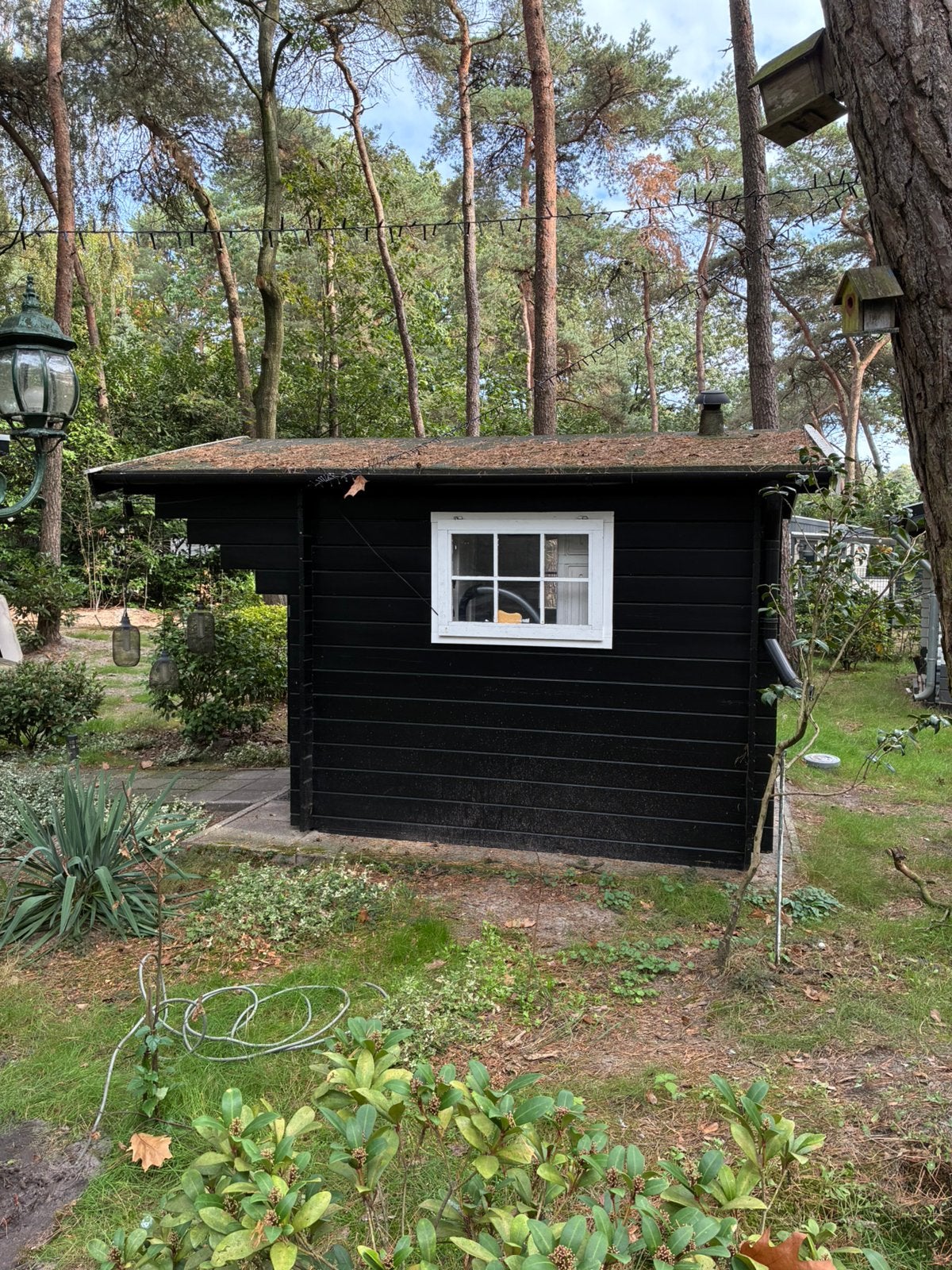 In zeer goede staat vekerend chalet