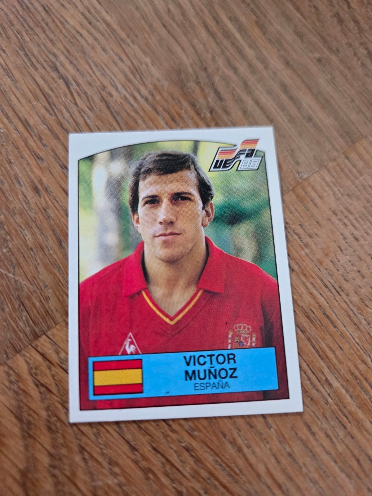 Panini EK 88, Ophalen of Verzenden, Zo goed als nieuw, Sticker