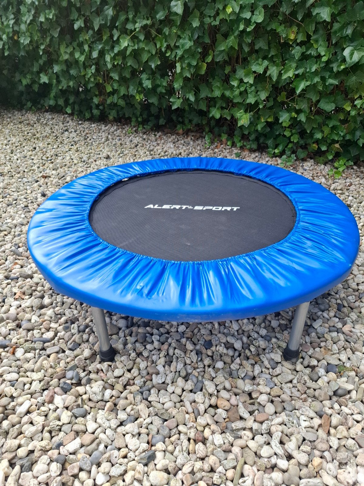 Alert sport trampoline op poten, Ophalen of Verzenden