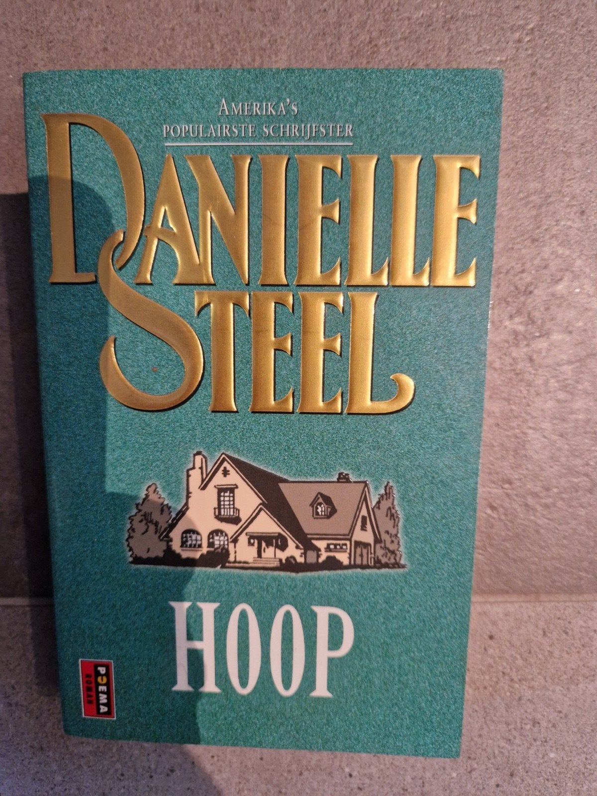 Danielle Steel - Hoop, Ophalen of Verzenden, Gelezen, Danielle Steel, Nederland