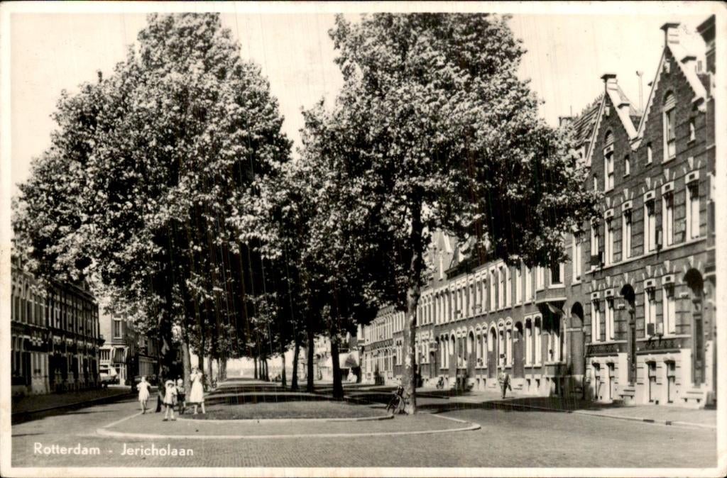 Rotterdam - Jericholaan - laan met bomen, Ophalen of Verzenden, 1940 tot 1960, Gelopen, Zuid-Holland