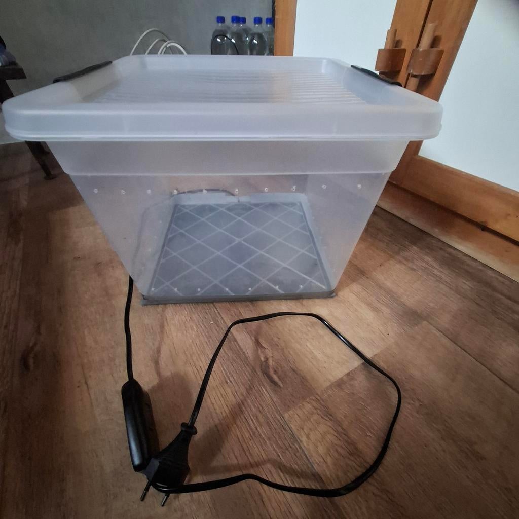 Kunststof bak met warmtemat.dubia kweek, Ophalen of Verzenden, Leeg aquarium