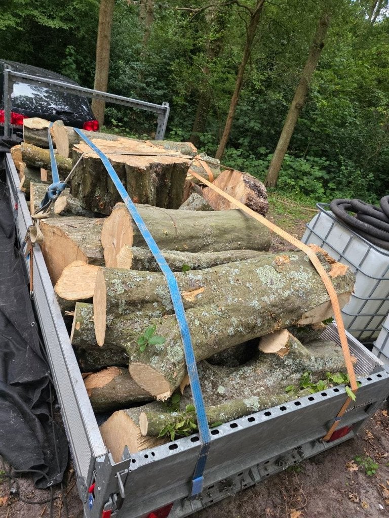Beuken haard hout 4,5 kuub, Minder dan 3 m³, Ophalen, Beukenhout, Stammen