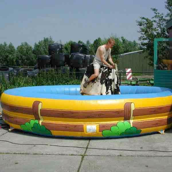 Rodeostier te koop keuring tot 23-06-27, Ophalen of Verzenden, Zo goed als nieuw, Overige