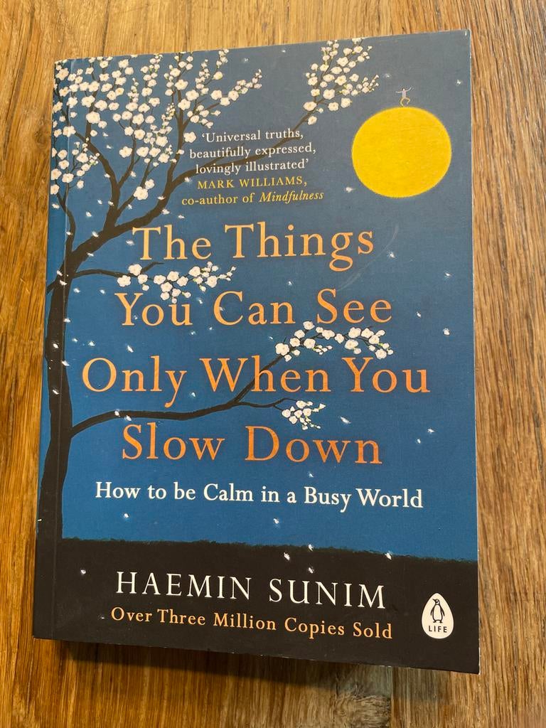 The Things You Can See Only When You Slow Down, Boeken, Ophalen of Verzenden, Zo goed als nieuw
