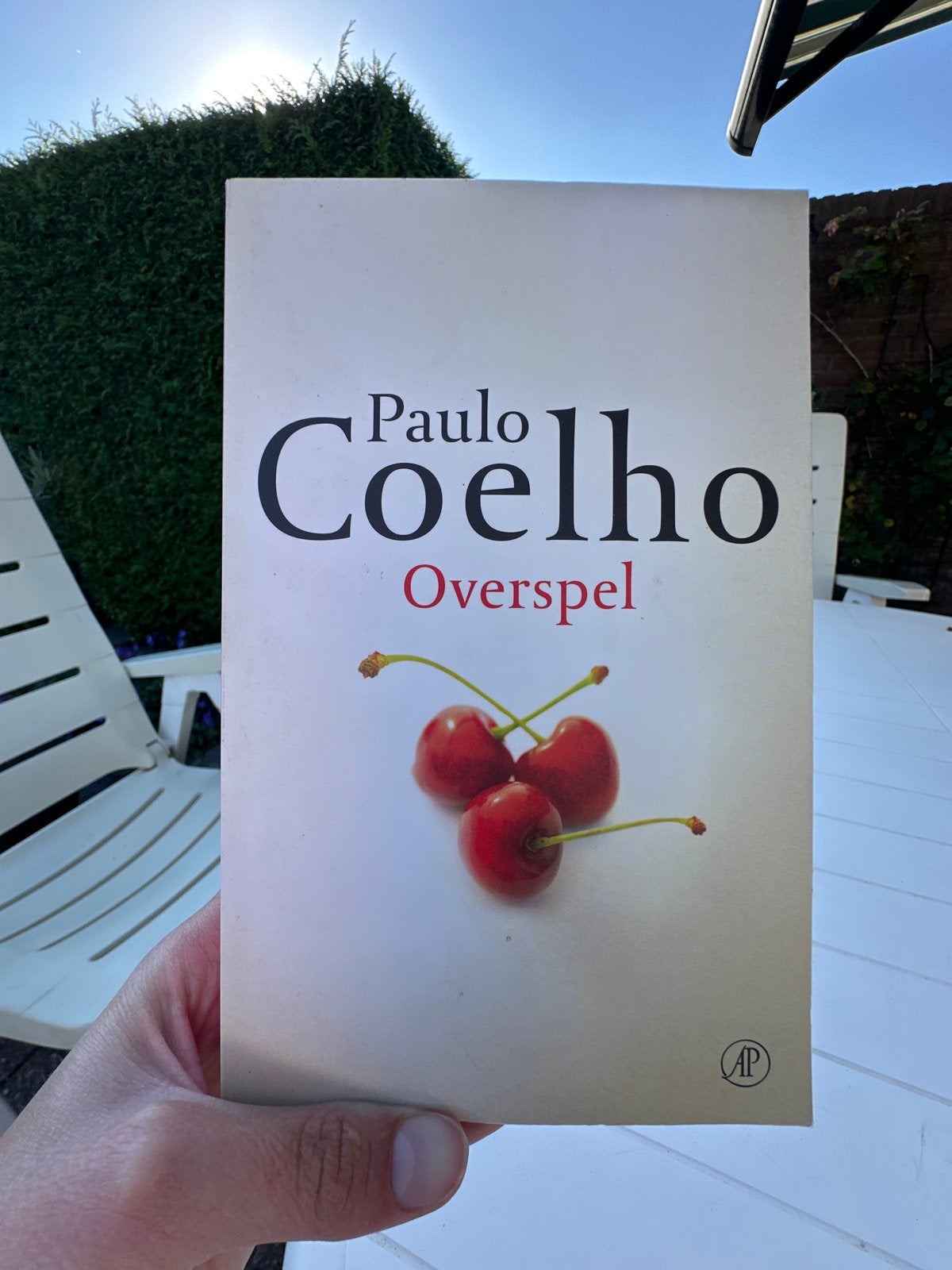 Paulo Coelho - Overspel (Paperback), Ophalen of Verzenden, Gelezen, Nederland