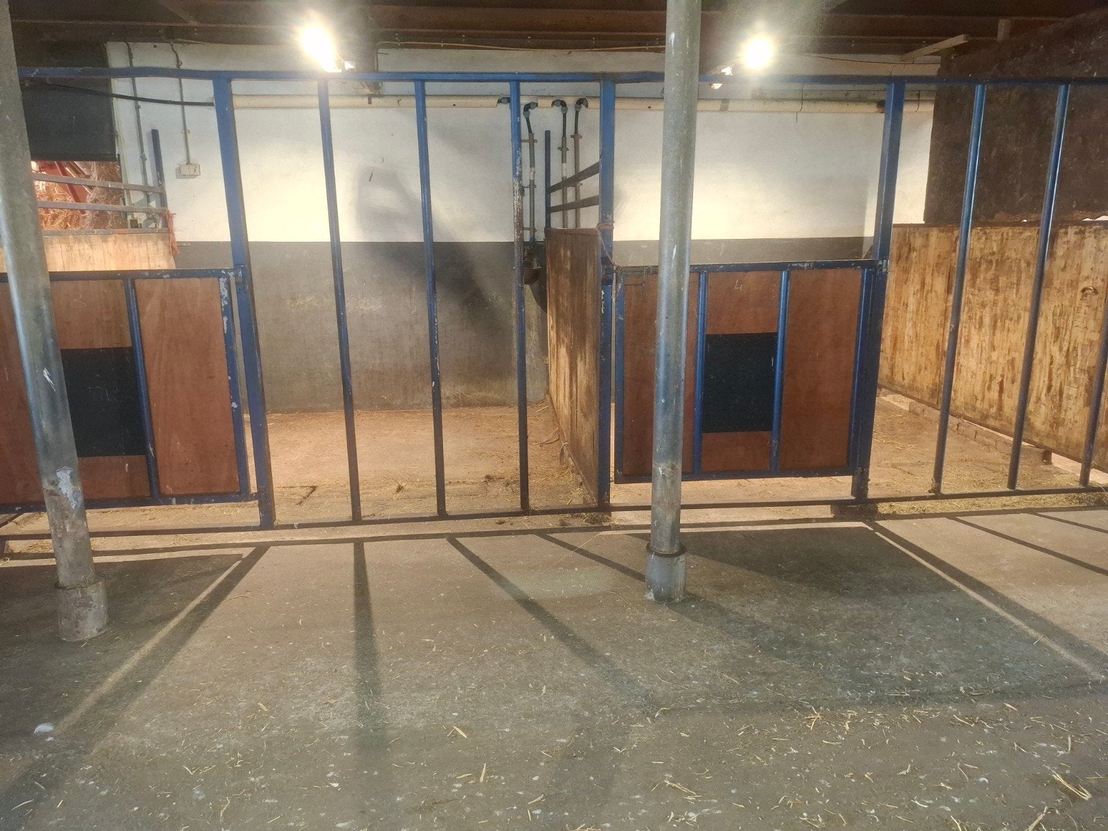 stalling 280 euro Wognum, Dieren en Toebehoren, Stalling