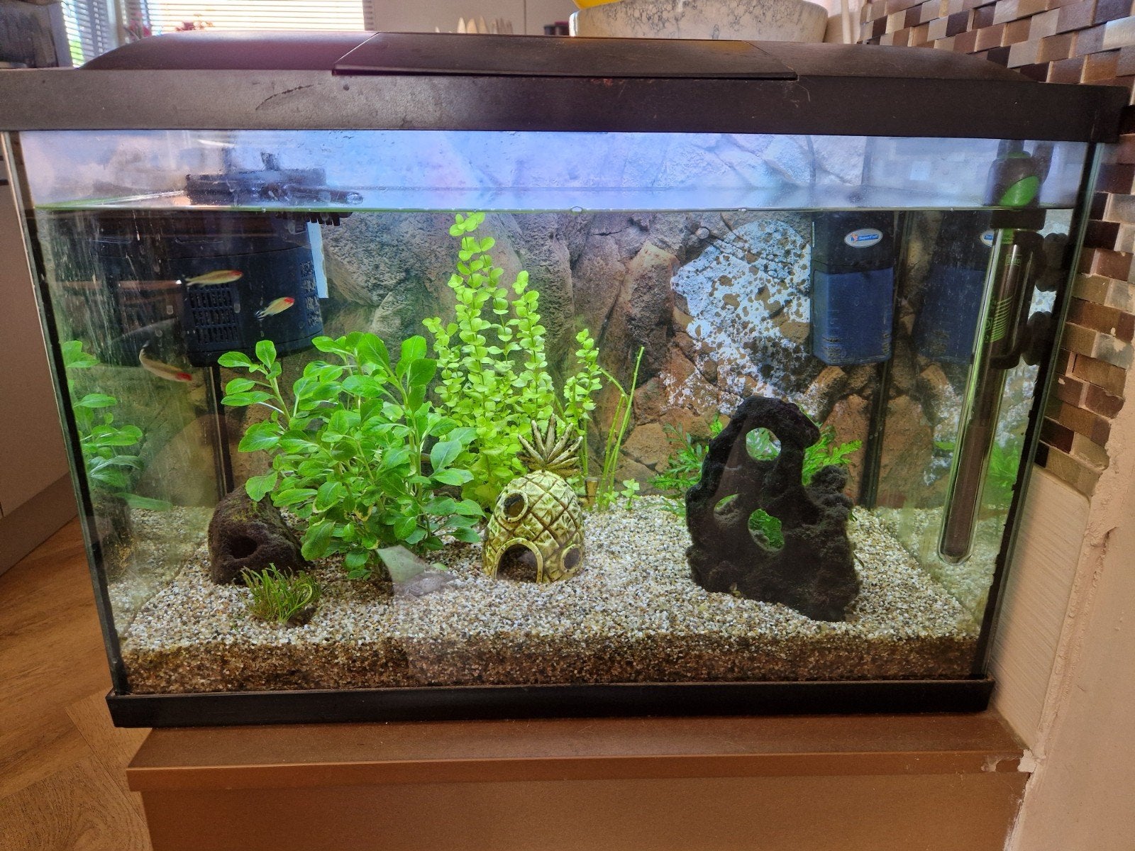 Aquarium helemaal compleet, Dieren en Toebehoren, Ophalen, Gebruikt, Inclusief toebehoren, Gevuld zoetwateraquarium