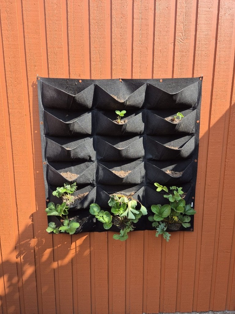 Plantenzak - Kweekzak voor aardbeien of kruiden bijvoorbeeld, Tuin en Terras, Kunststof, 100 cm of meer, Vierkant, Ophalen of Verzenden