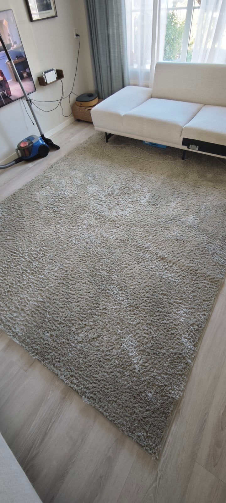 vloerkleed 230x330 mint