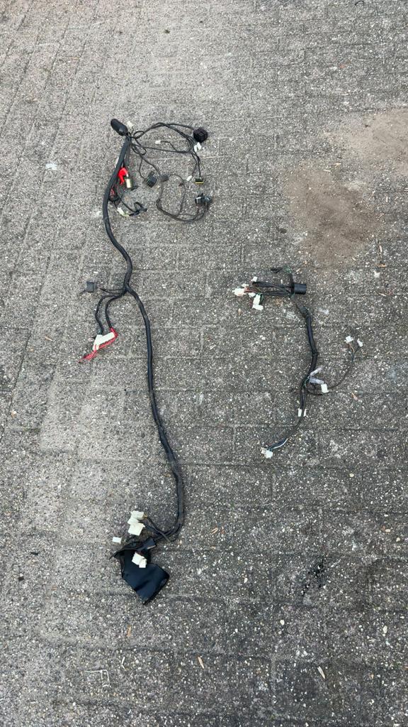 Gy6 injectie kabelboom lasouris sorini s, Ophalen of Verzenden, Zo goed als nieuw, Overige typen