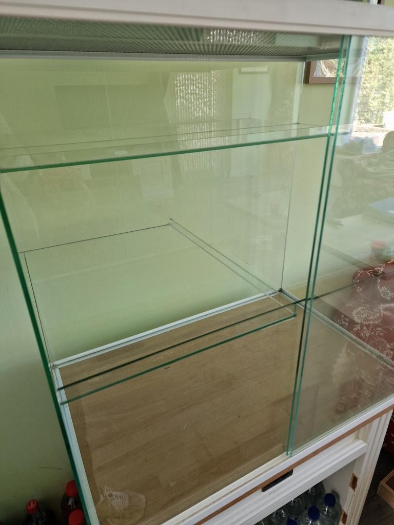 Glazen hok/terrarium, Dieren en Toebehoren, Reptielen en Amfibieën | Toebehoren, Ophalen, Gebruikt, Terrarium of Paludarium