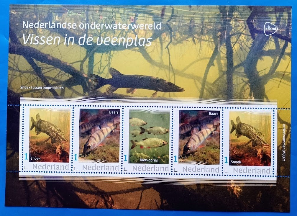 NVPH: V3642P: 8 "Nederlandse onderwaterwereld 2022", Postzegels en Munten, Postzegels | Nederland, Verzenden, Na 1940, Postfris