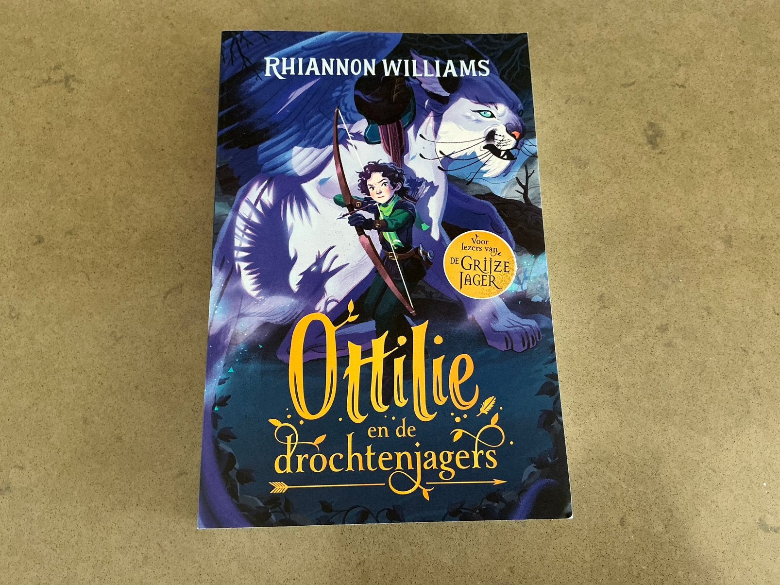 Rhiannon Williams - Ottilie en de drochtenjagers, Ophalen of Verzenden, Zo goed als nieuw