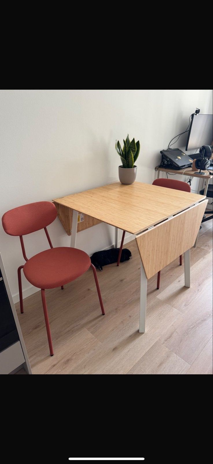 IKEA eettafel (uitklapbaar) + 2 stoelen — 20 euro, Ophalen, Gebruikt, 100 tot 150 cm, 50 tot 100 cm