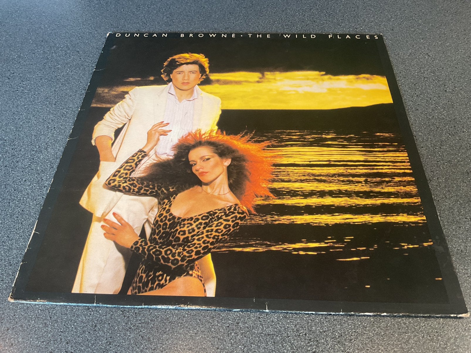 Duncan Browne - The wild places Vinyl LP, Cd's en Dvd's, Ophalen of Verzenden, Gebruikt, 12 inch, LP