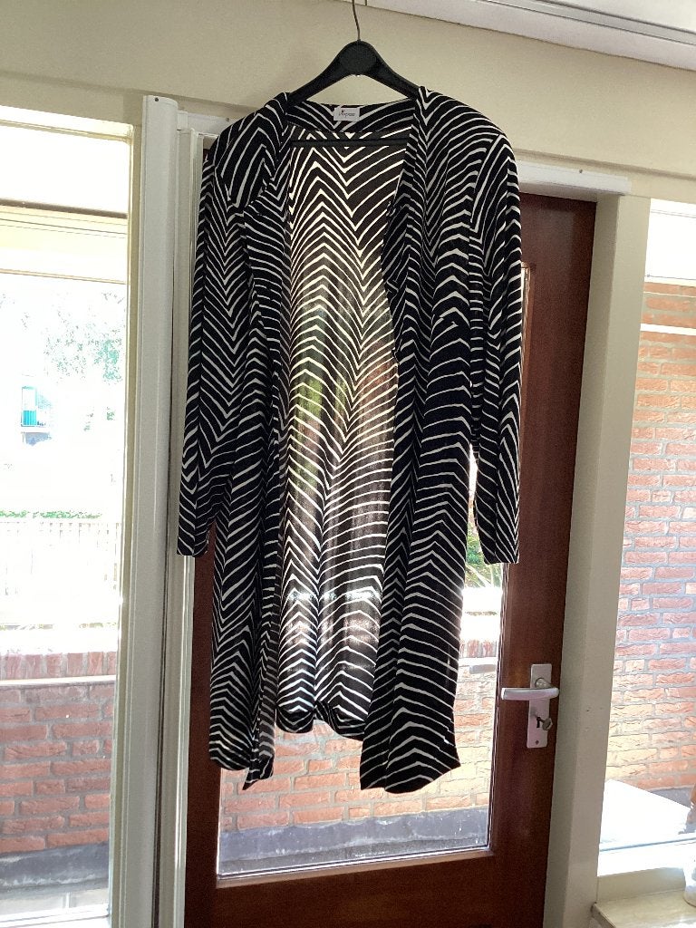 Verpaste Oversized blouse maat 46, Verpass, Meerkleurig, Blouse of Tuniek, Ophalen of Verzenden