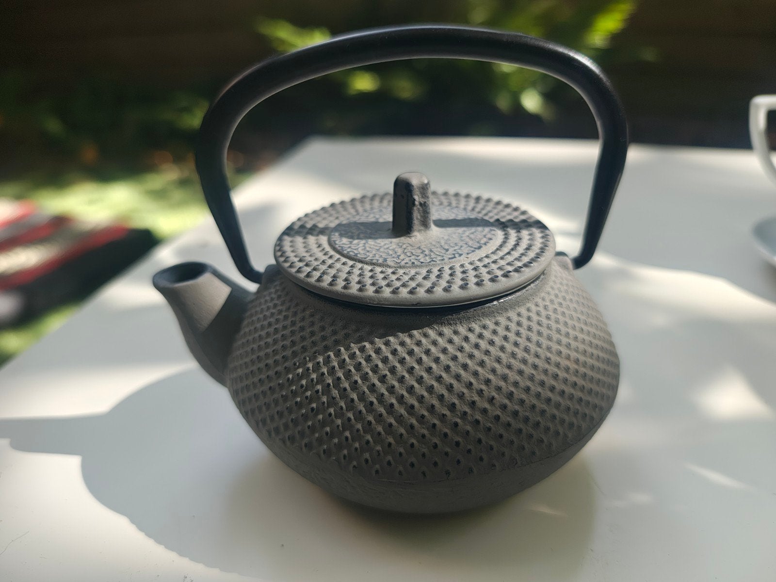 Theepot, Keramiek, Ophalen of Verzenden, Zo goed als nieuw, Theepot