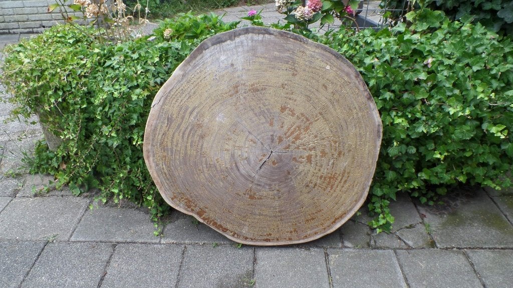 Boomstamschijf, ESDOORN?, 90 x 90 x9 cm-(#9180), Doe-het-zelf en Verbouw, Hout en Planken, Ophalen, Gebruikt, Minder dan 25 mm