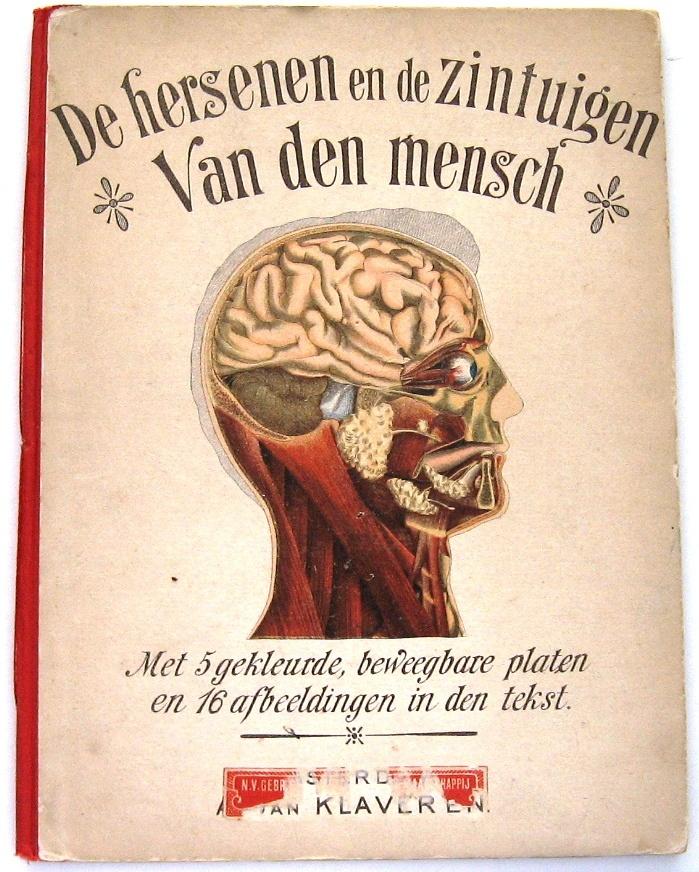 De Hersenen en de Zintuigen van den Mensch (c.1900) Coronel, Ophalen of Verzenden