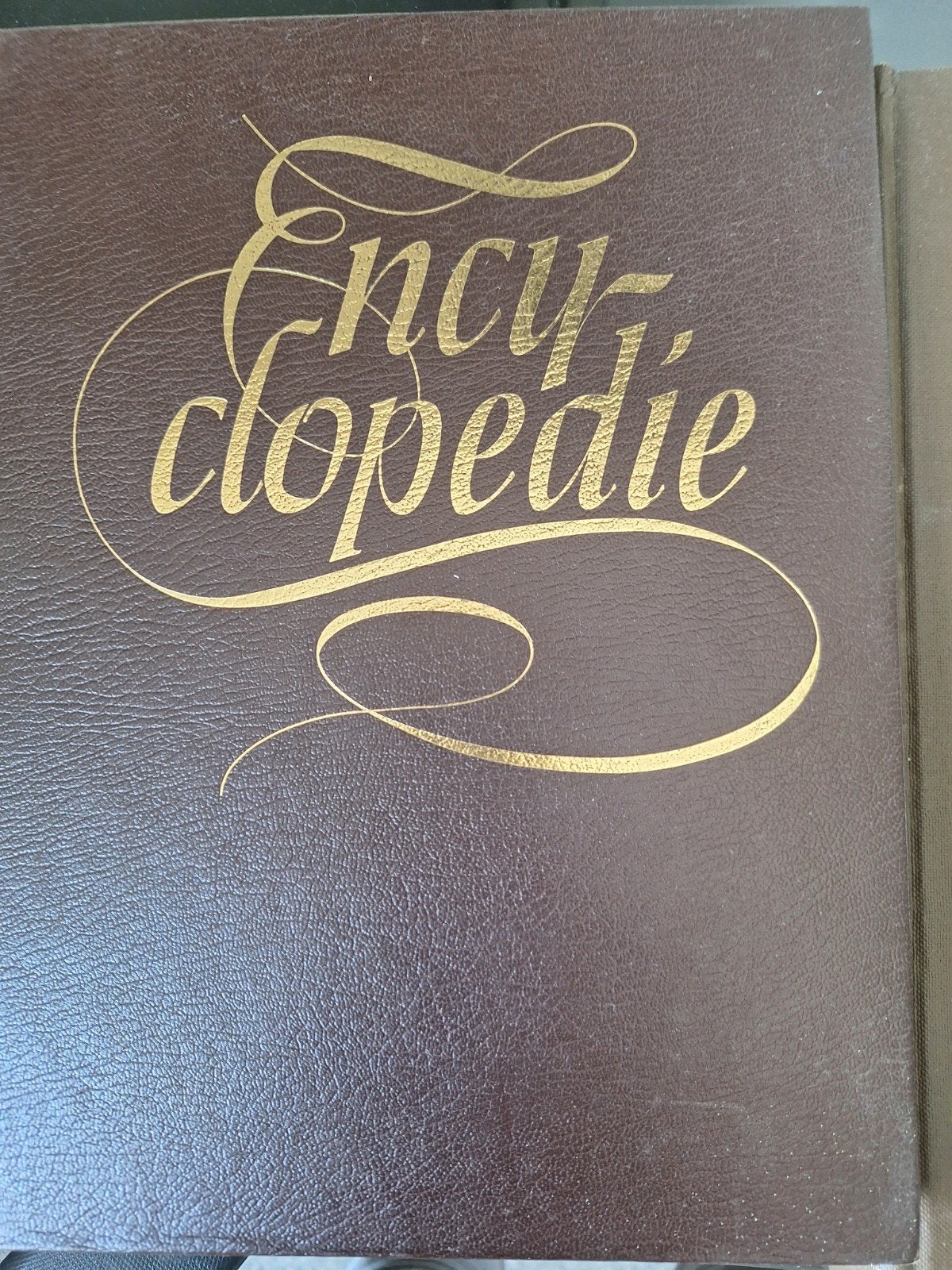 Grote Spectrum Encyclopedie Deel 1 - Aalscholvers-Argelander, Boeken, Encyclopedieën, Ophalen of Verzenden, Los deel, Algemeen
