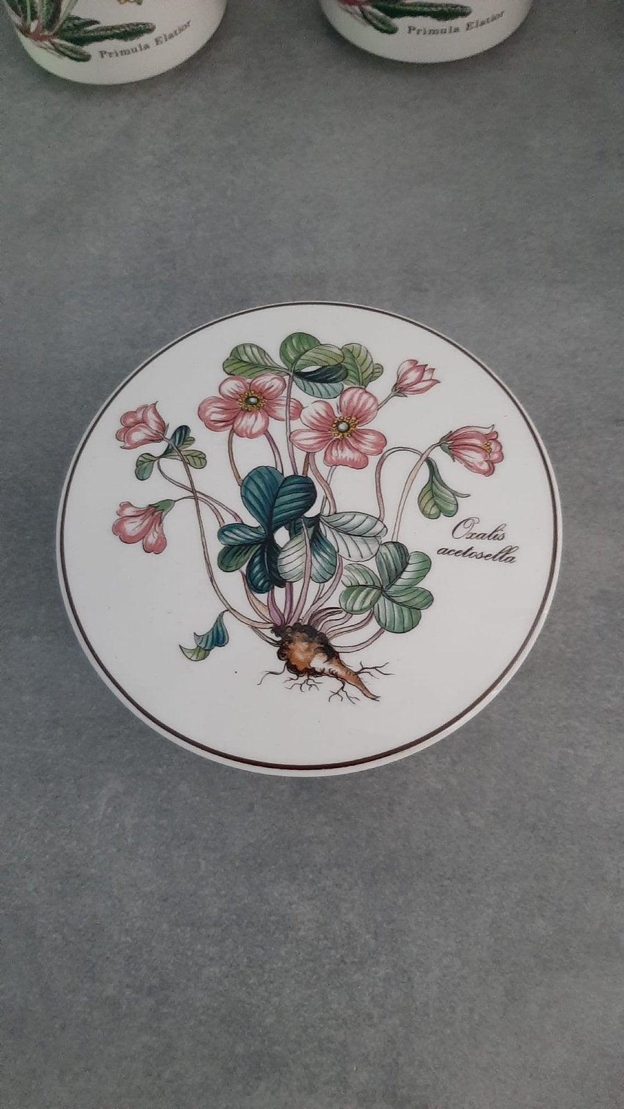 Villeroy & Boch dekseldoosje bonbondoosje schaaltje botanica, Ophalen of Verzenden, Overige stijlen, Porselein, Schaal of Schalen