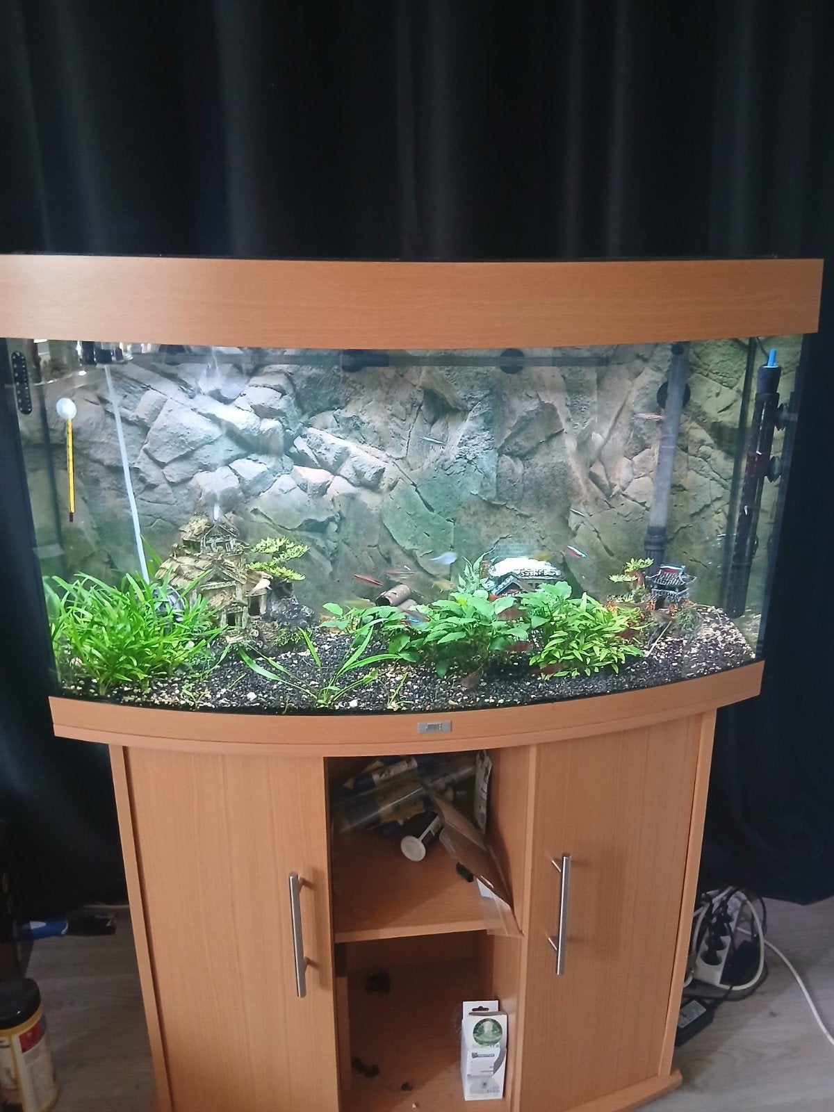 Complete aquarium te koop met alle toebehoren, Dieren en Toebehoren, Vissen | Aquaria en Toebehoren, Gebruikt, Gevuld zoetwateraquarium