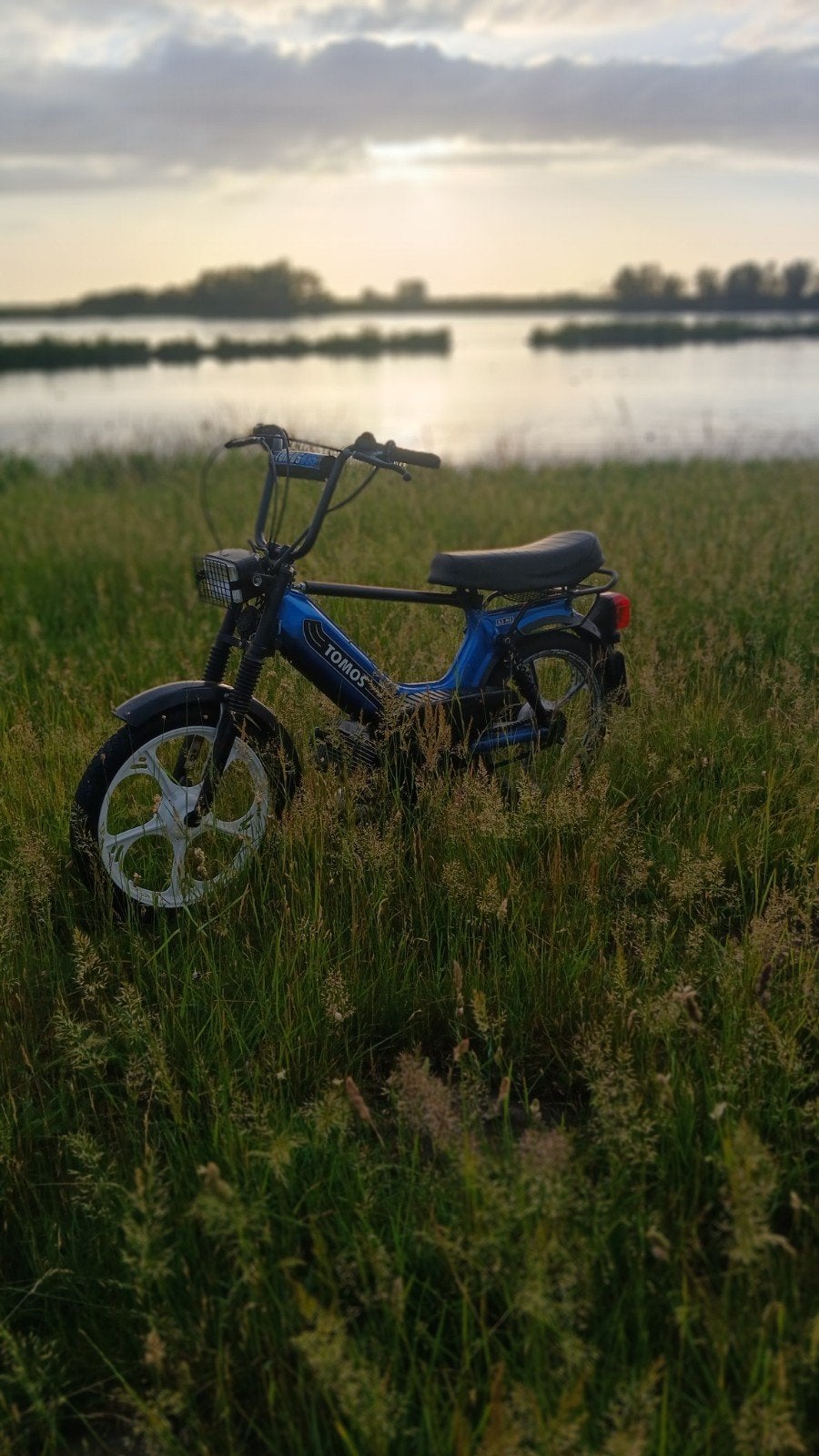 Tomos a3 (waardepijling), Fietsen en Brommers, Brommers | Tomos, Gebruikt, Standard, Maximaal 25 km/u, Ophalen