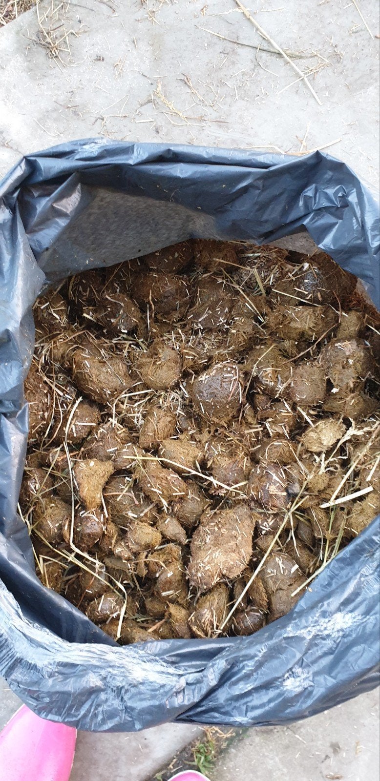 paardenmest in zakken, gratis ophalen, Tuin en Terras, Ophalen