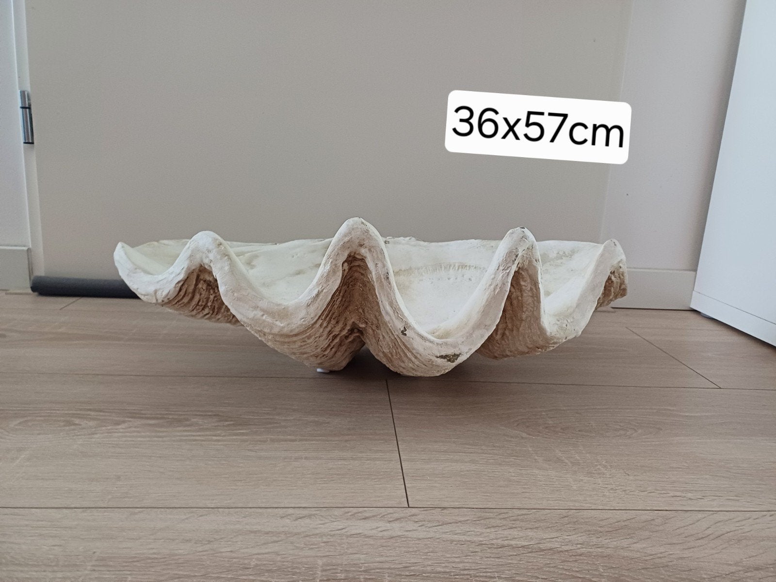 Grote schelpen schaal / beeld 36x57cm, Overige materialen, Schaal, Ophalen of Verzenden, Zo goed als nieuw