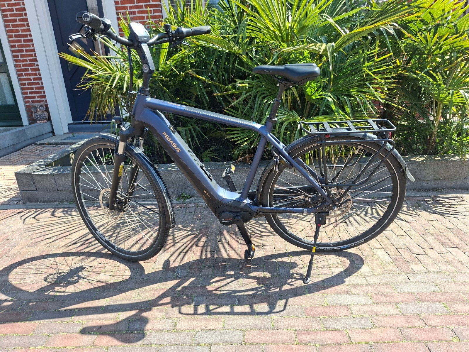 Pegasus Ravenna Evo 5 elektrische herenfiets, frame 55, Fietsen en Brommers, Ophalen