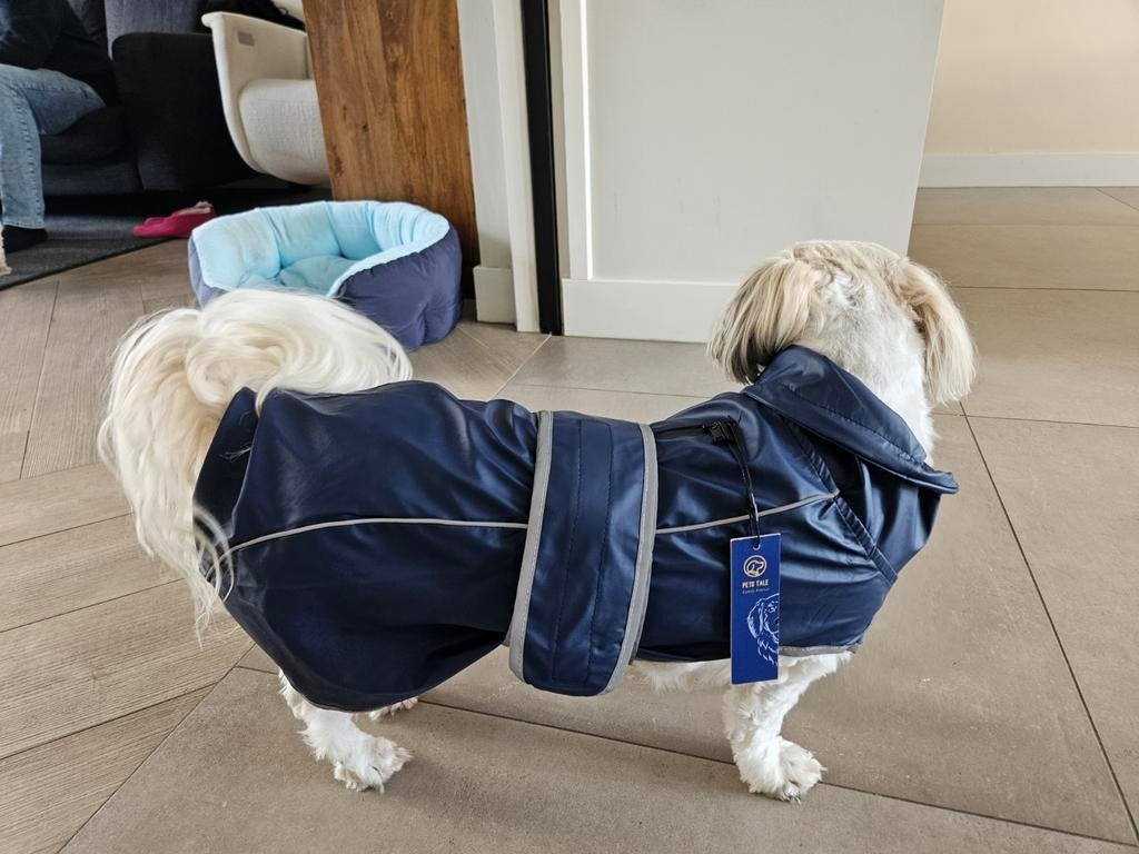 Nieuwe regenjas hond/ Hondenjas waterdicht, Ophalen, Nieuw, Hondenjas
