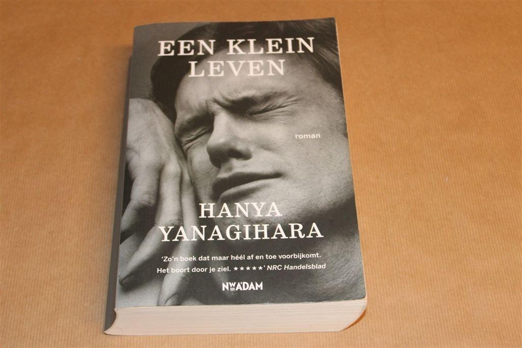 Een Klein Leven — Hanya Yanagihara — Vriendschap & Trauma, Boeken, Verzenden, Gelezen