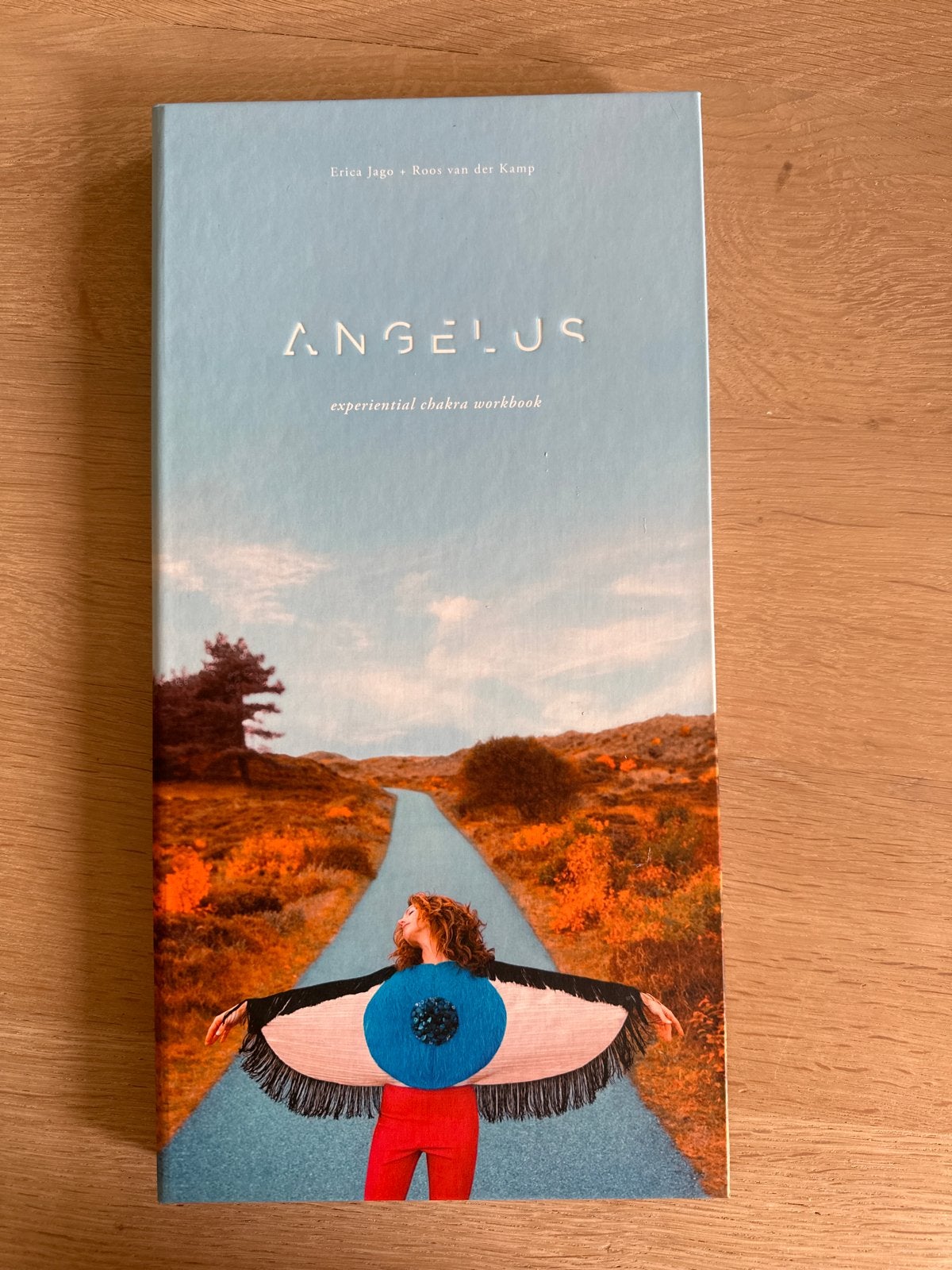 Angelus: Experiential Chakra Workbook - Erica Jago, Boeken, Ophalen of Verzenden, Zo goed als nieuw, Meditatie of Yoga, Instructieboek