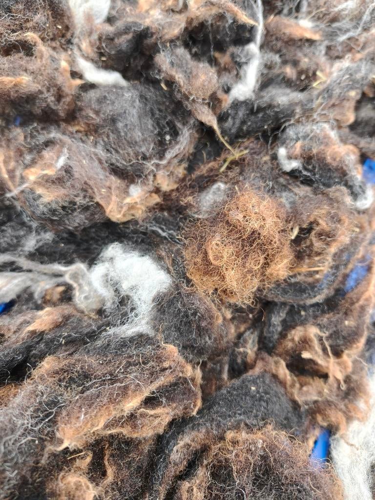 Gewassen vulwol schapenwol, Ophalen of Verzenden, Nieuw, Spinwol