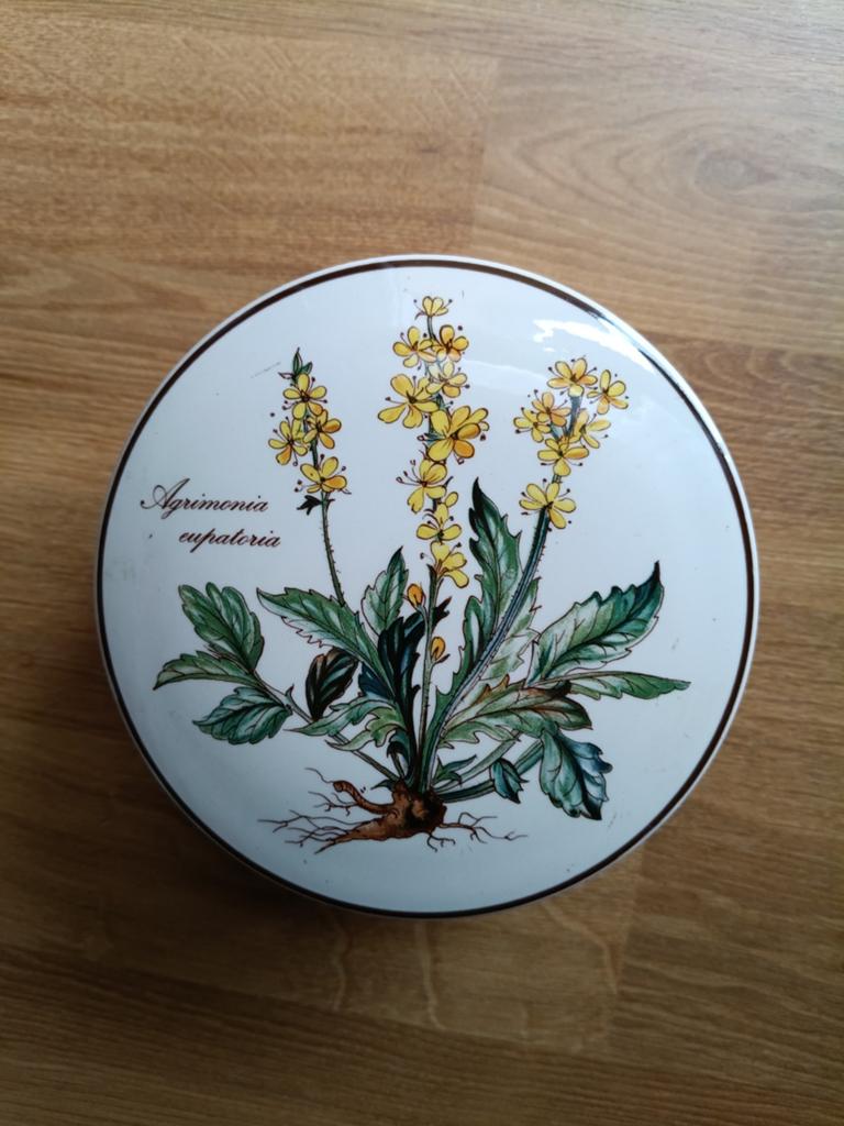 Villeroy & Boch Botanica, Huis en Inrichting, Keuken | Servies, Ophalen of Verzenden, Zo goed als nieuw