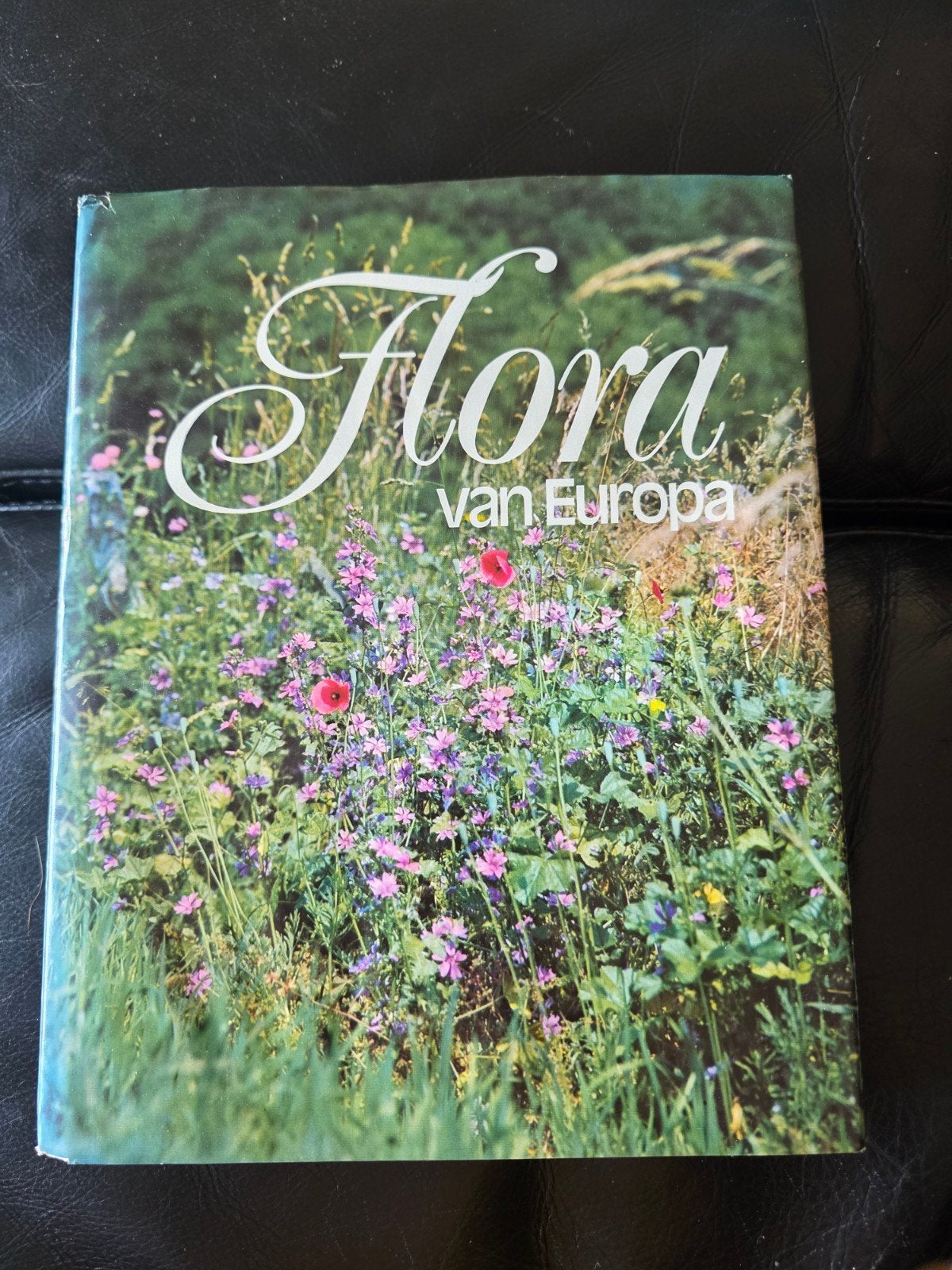 Flora van Europa: Een Uitgebreid Plantenboek, Ophalen of Verzenden, Gelezen, Bloemen, Planten en Bomen