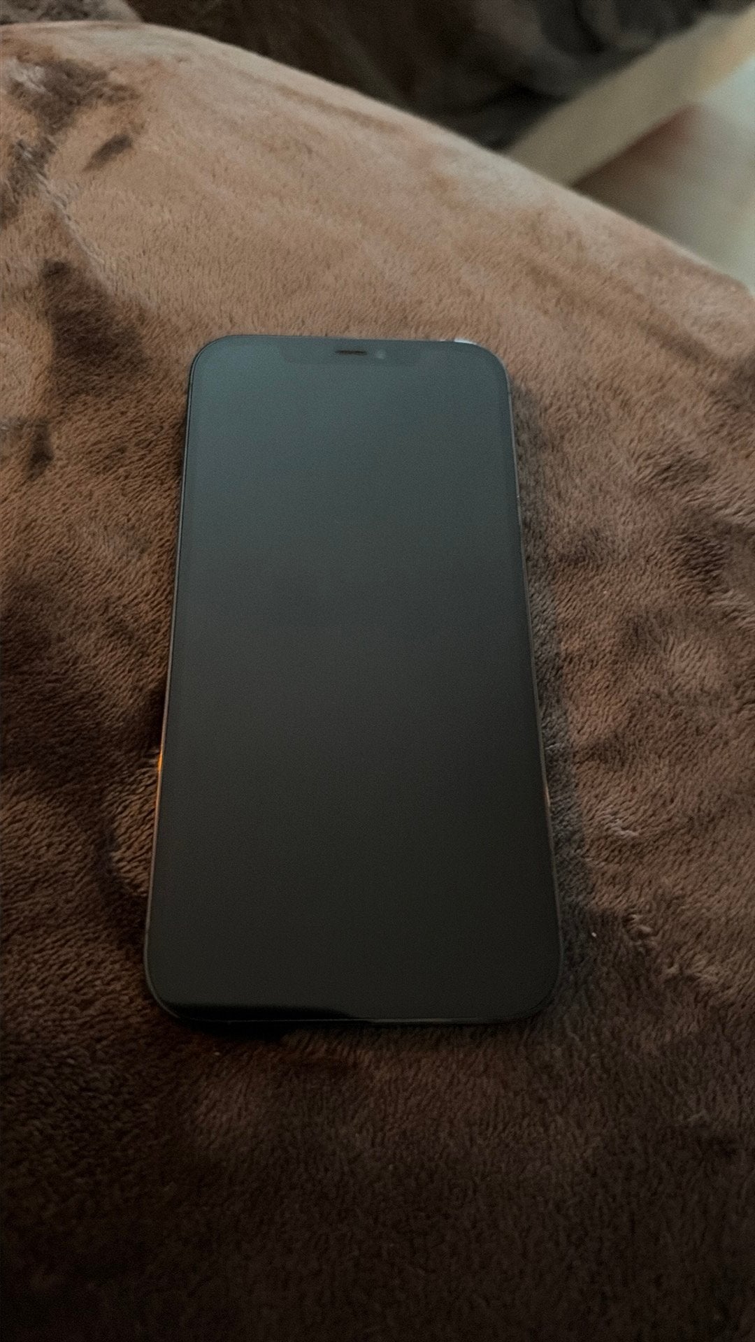 Foto 4 van Iphone 12 pro max 256gb