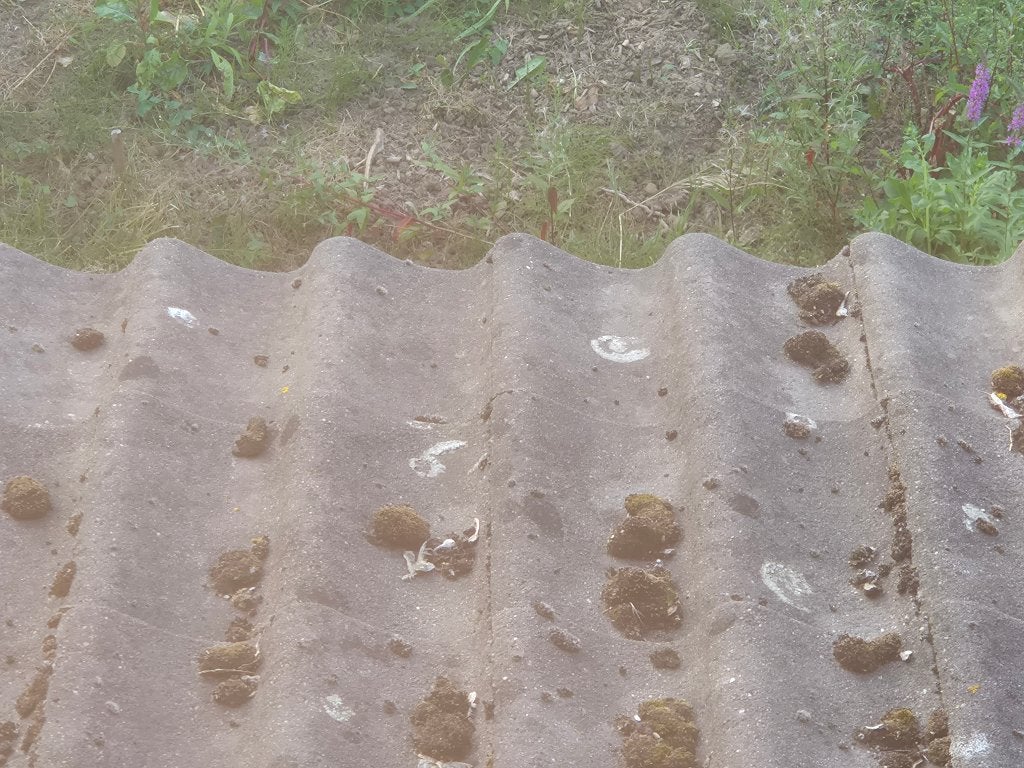 Dakpannen gratis afhalen, 15m2, Ophalen, Gebruikt, Steen of Klei, 15 m² of meer