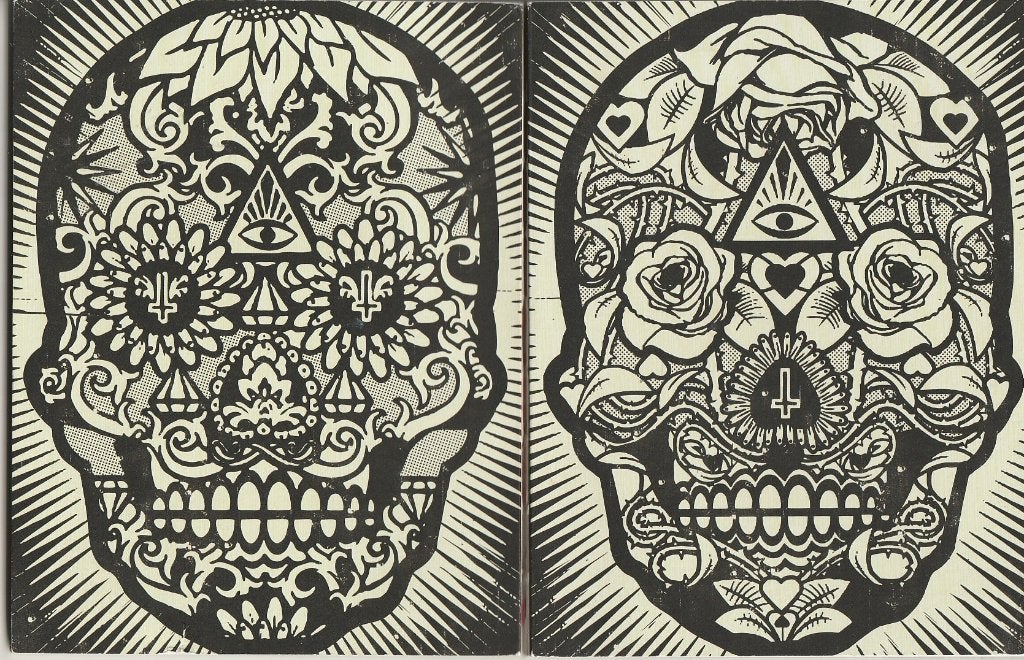 The Book of Skulls Faye Dowling 2011, Gelezen, Ophalen of Verzenden, Fay Dowling, Overige onderwerpen