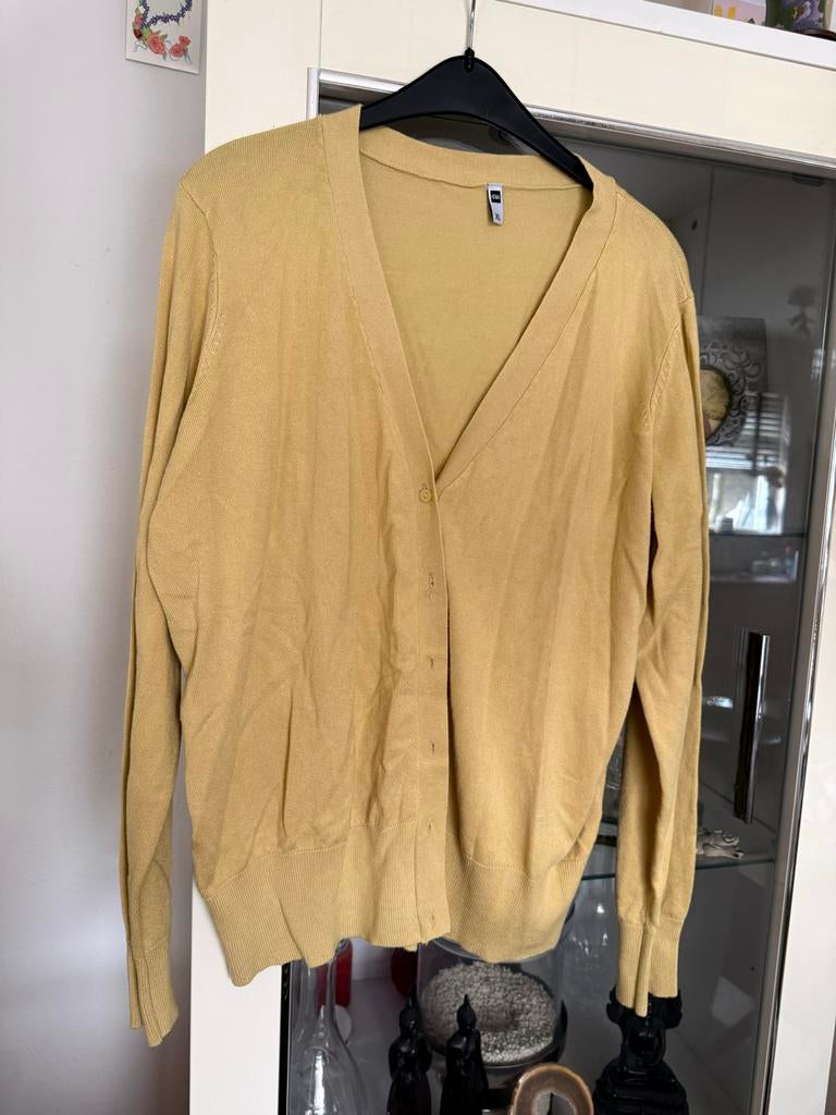 Geel vest met knopen - Maat XL ( 44 ) hema, Ophalen of Verzenden, Zo goed als nieuw, Maat 46/48 (XL) of groter, Geel