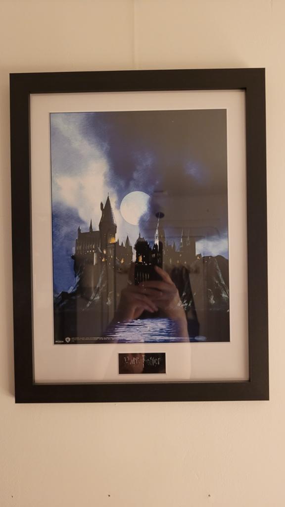 Harry Potter Zweinstein Kasteel Ingelijste Poster, 50 tot 75 cm, Ophalen of Verzenden, Zo goed als nieuw, 50 tot 75 cm