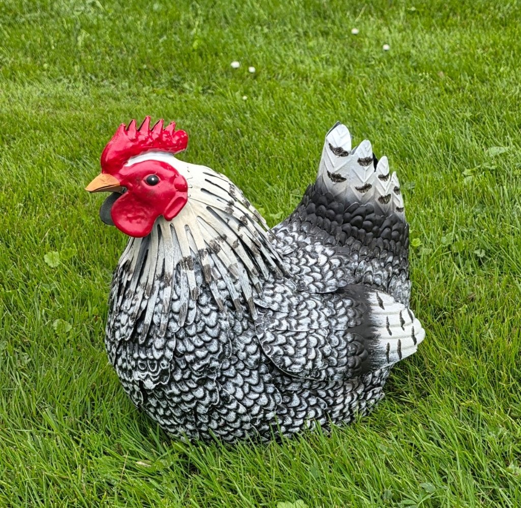 Haan  / Hen / metaal / kippen / NIEUW, Dierenbeeld, Nieuw, Metaal, Info@huisentuindecoratiemarie.nl