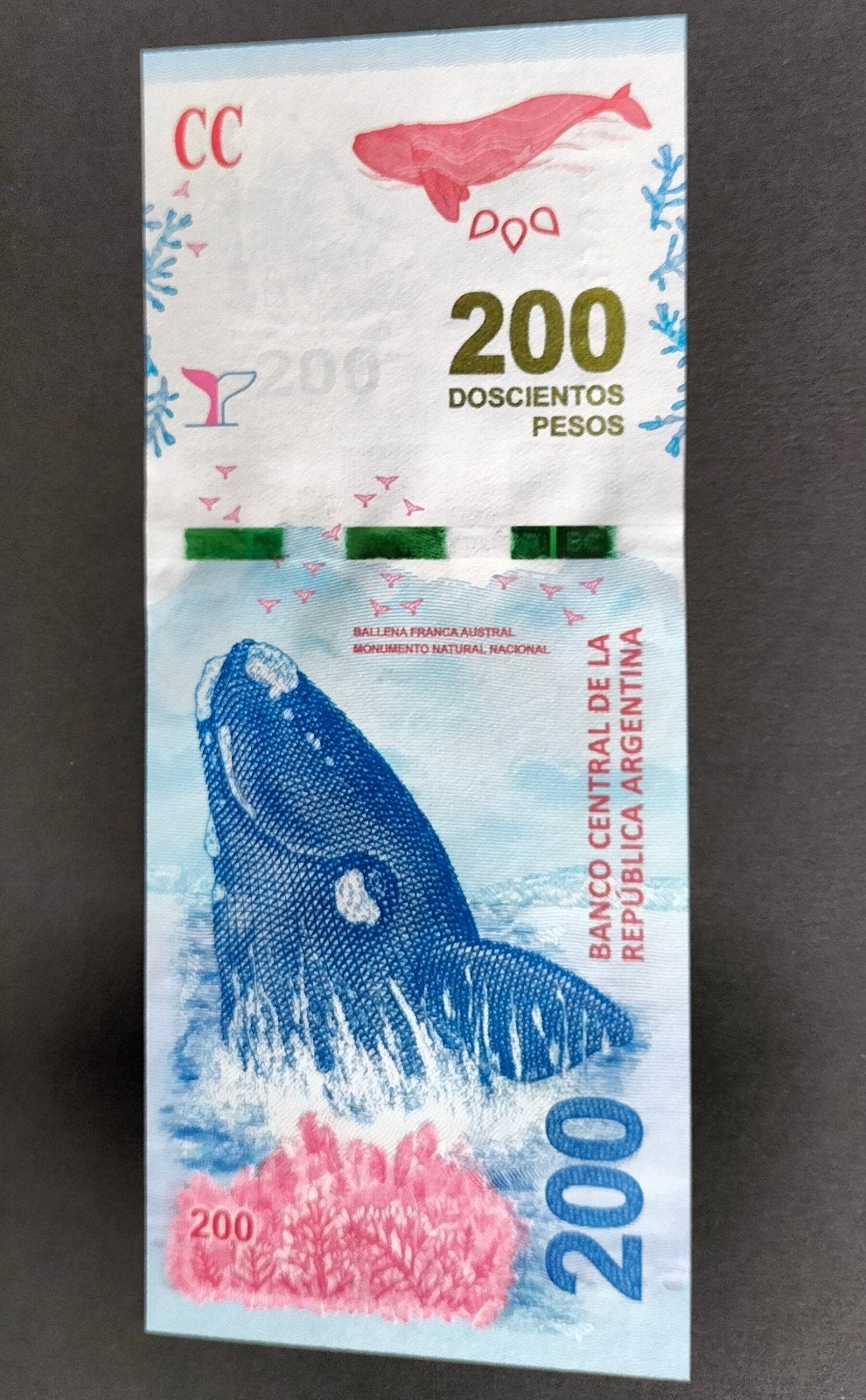Argentinië 200 Pesos 2016 - Pick#364 UNC., Postzegels en Munten, Bankbiljetten | Amerika, Verzenden, Zuid-Amerika, Los biljet