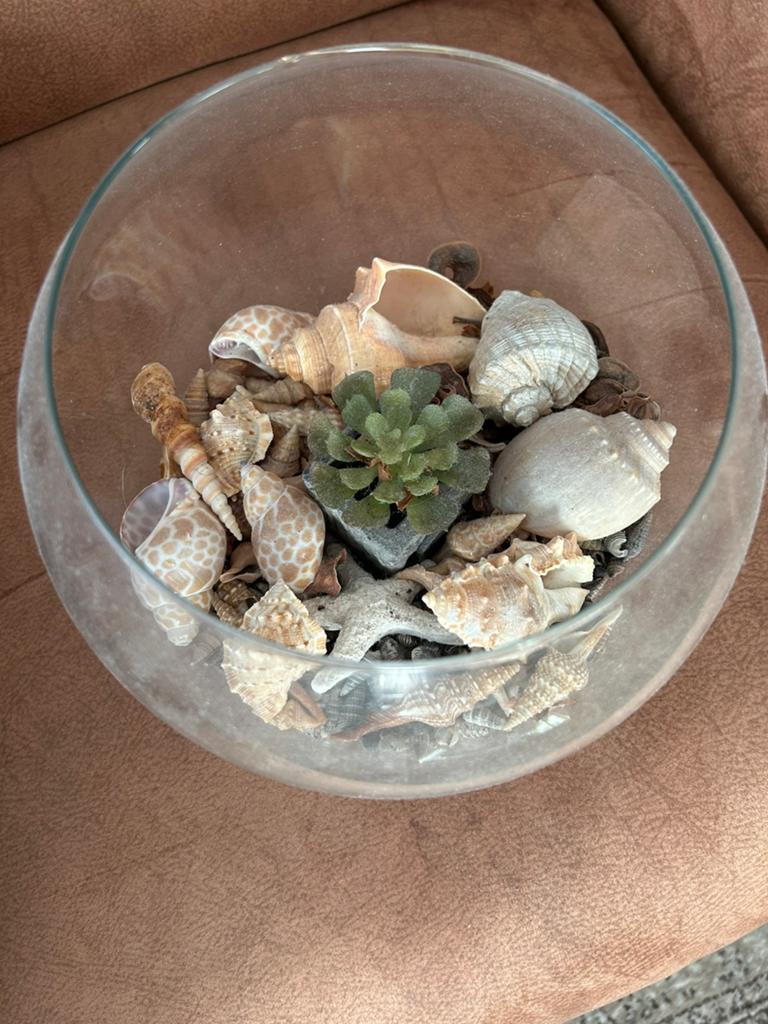 Vis kom met schelpen en kunstplantje, Ophalen