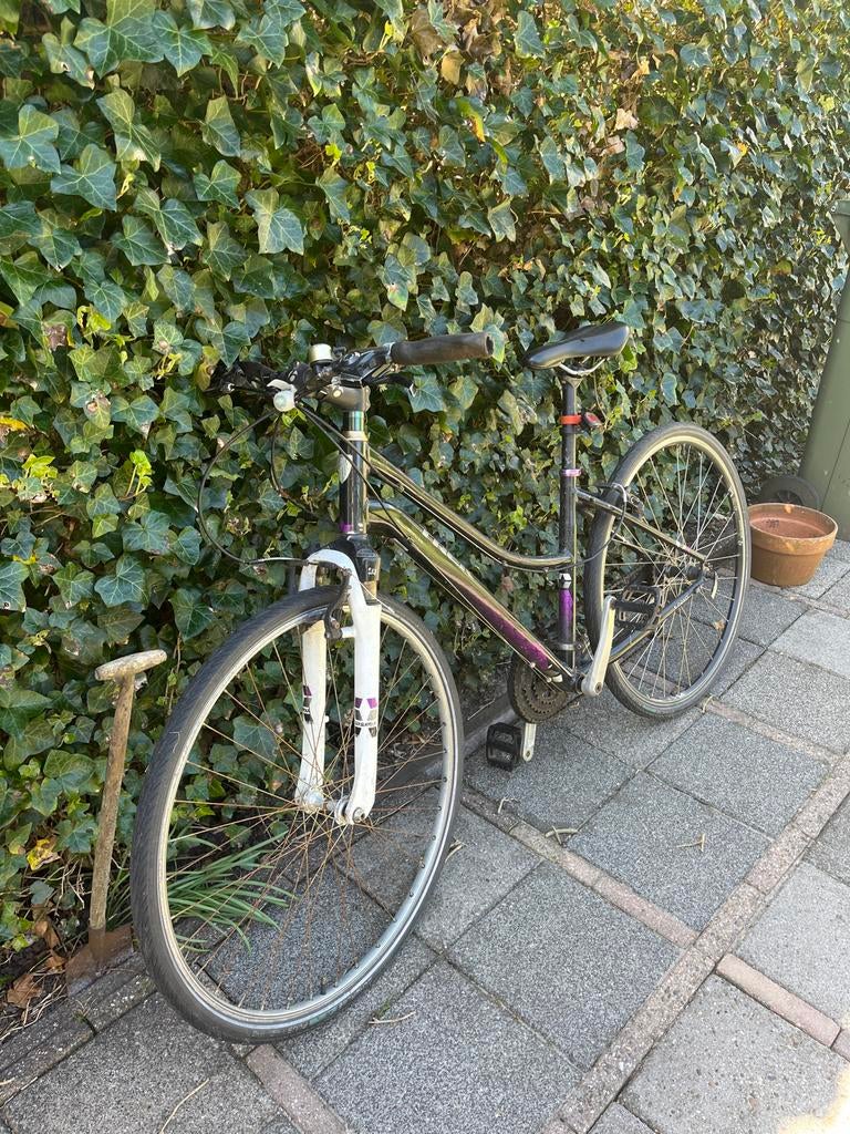 Trek damesfiets, opknapper - remmen nakijken, Fietsen en Brommers, Fietsen | Dames | Damesfietsen, Gebruikt, Velgrem, Versnellingen