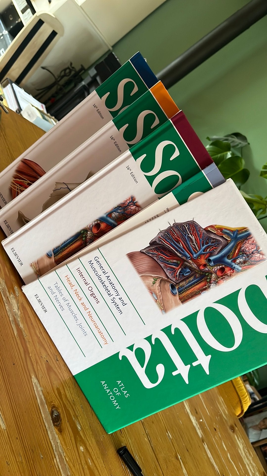 Sobotta Atlas of Anatomy, package, 16th edition, English, Ophalen, Beta, Zo goed als nieuw, HBO