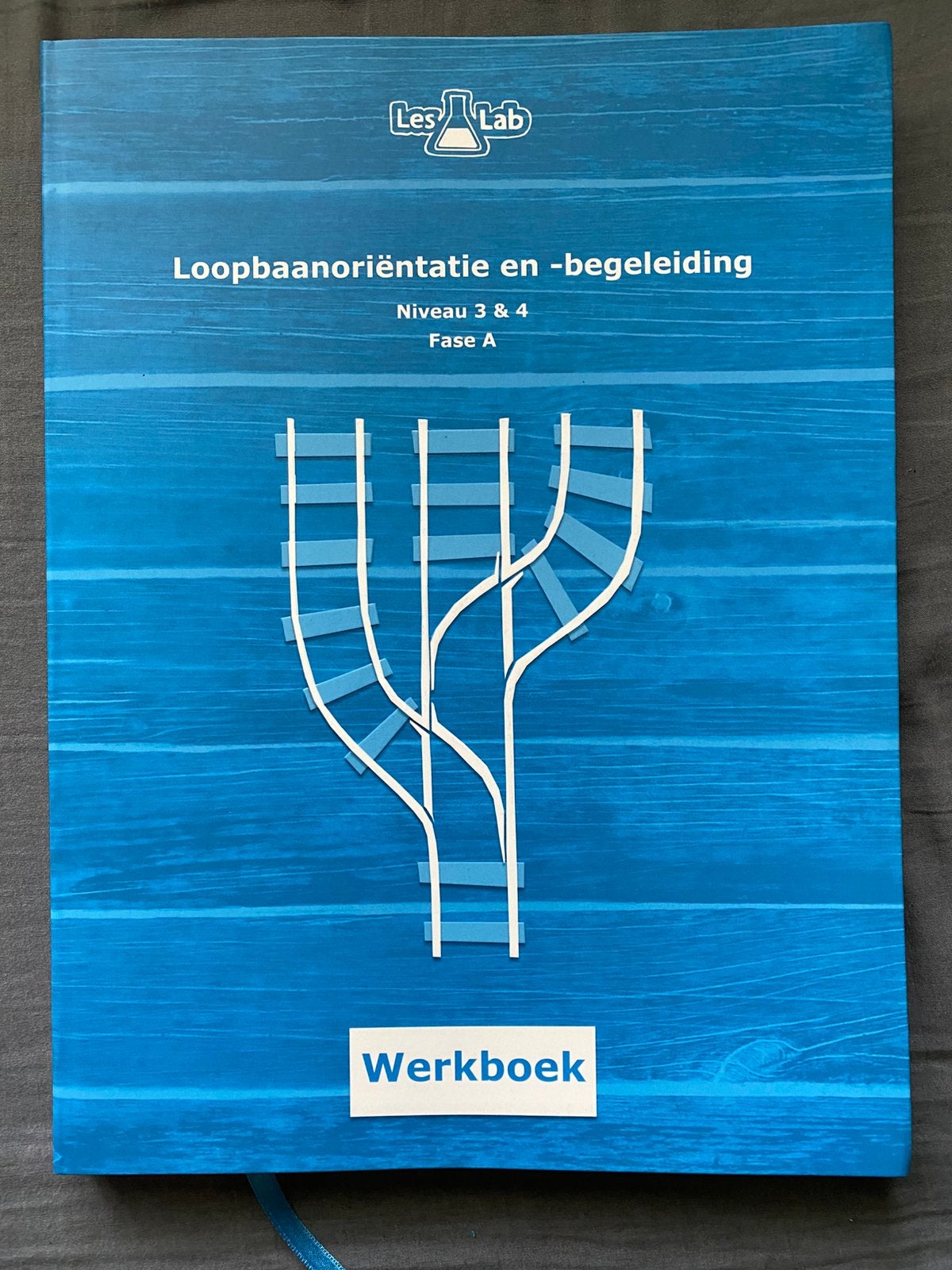 STUDIEBOEK Schoolboek LOOPBAANORIËNTATIE EN -BEGELEIDING, Ophalen of Verzenden, Zo goed als nieuw, Overige niveaus
